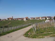 Weil am Rhein Ötlingen 009.jpg